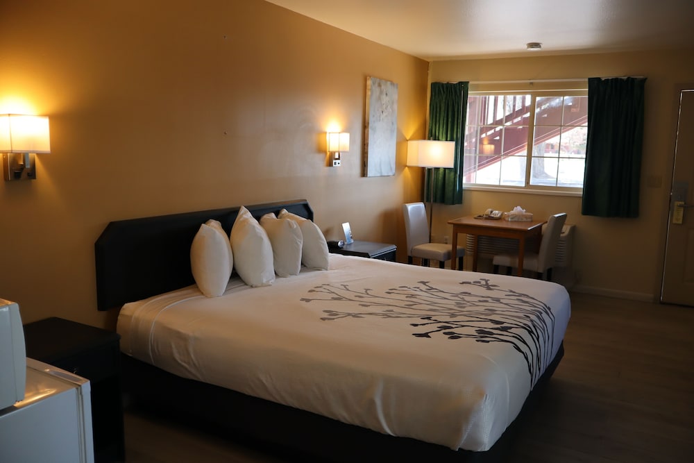 Econo Lodge Inn & Suites Montrose - Black Canyon Area 17/47