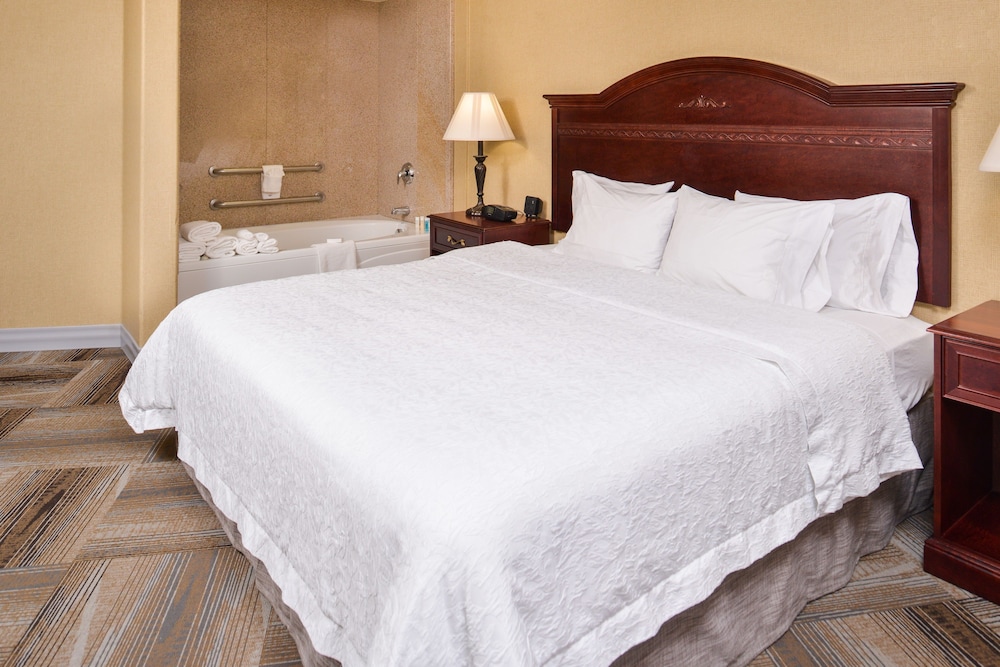 Hampton Inn & Suites Boise-Meridian 9/50