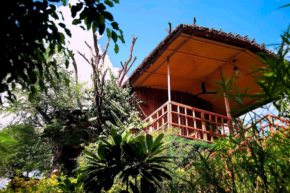 The Tree House Resort photo1