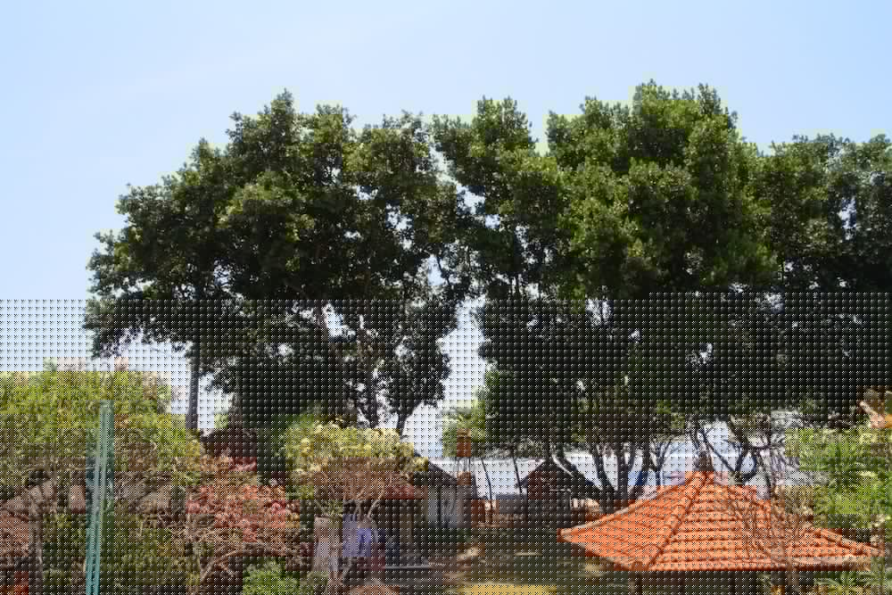 Inna Sindhu Beach Hotel and Resort photo1
