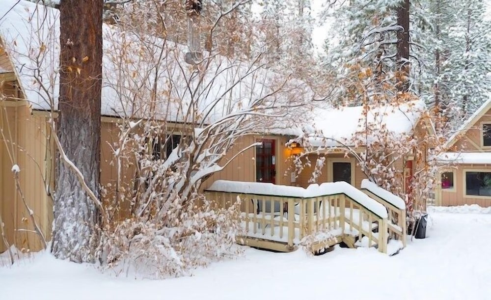 Sleepy Forest Cottages 63/65