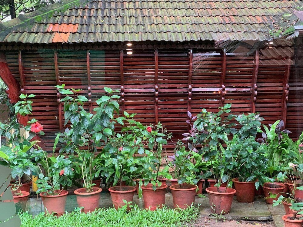 HOYSALA VILLAGE RESORT 5/50