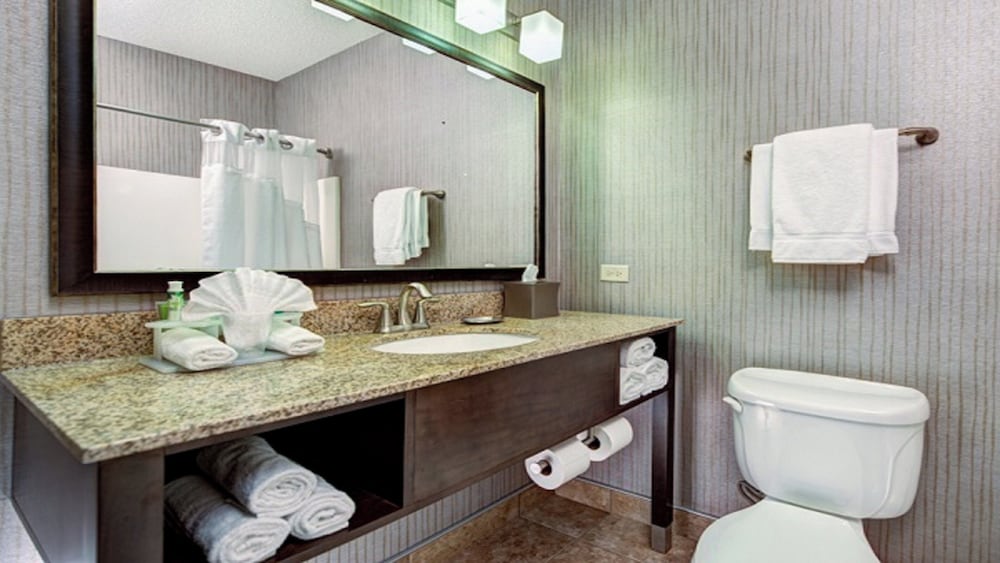 Holiday Inn Express Hotel And Suites Chicago Deerfield Lincoln 45/50