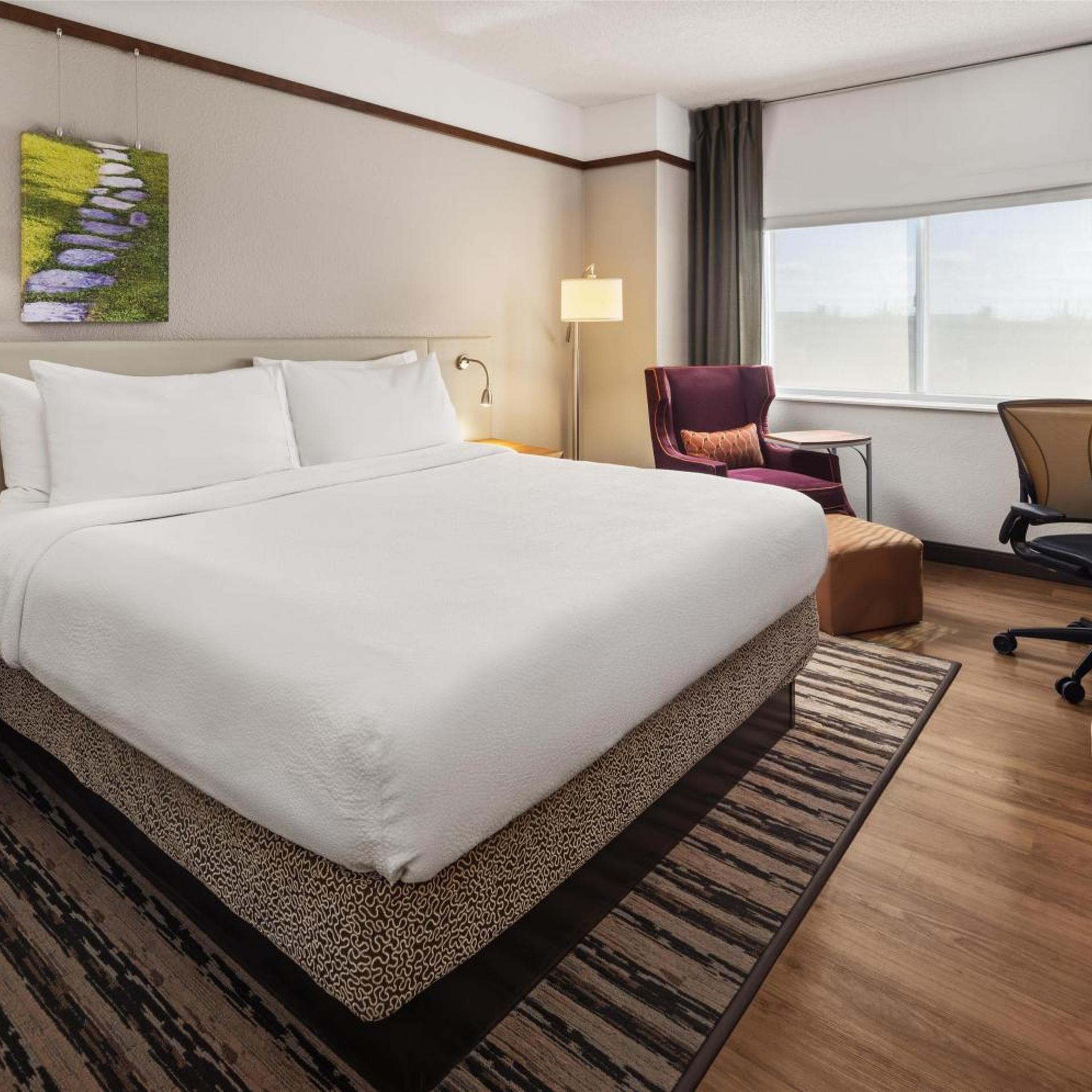 JUNIOR SUITE, KING BED, SOFA