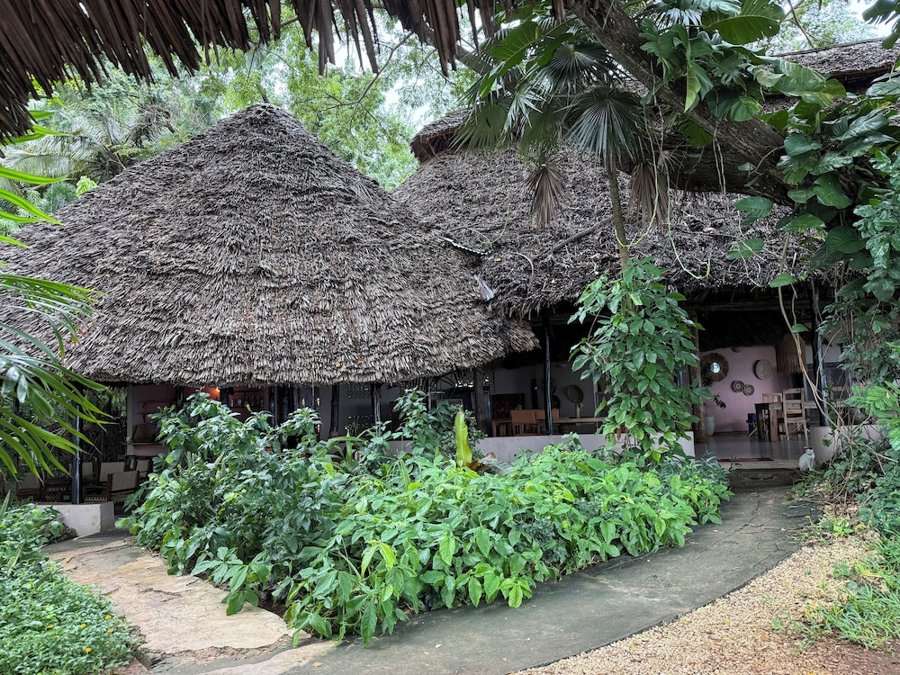 Jungle Paradise Beach Resort & Spa Mbweni Ruins 42/50