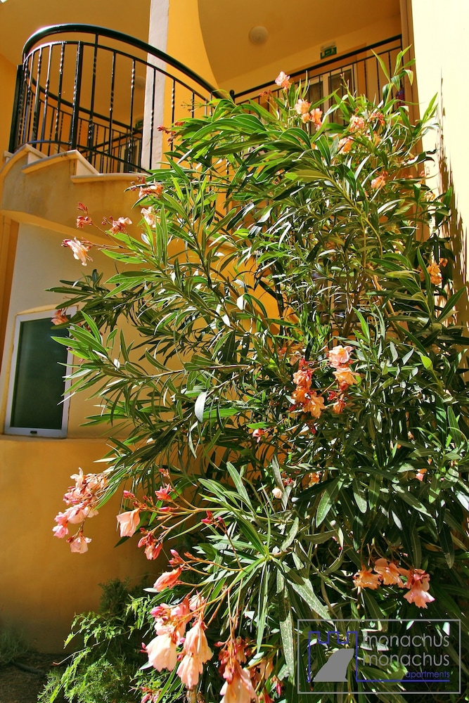 Monachus Monachus Apartments 47/58