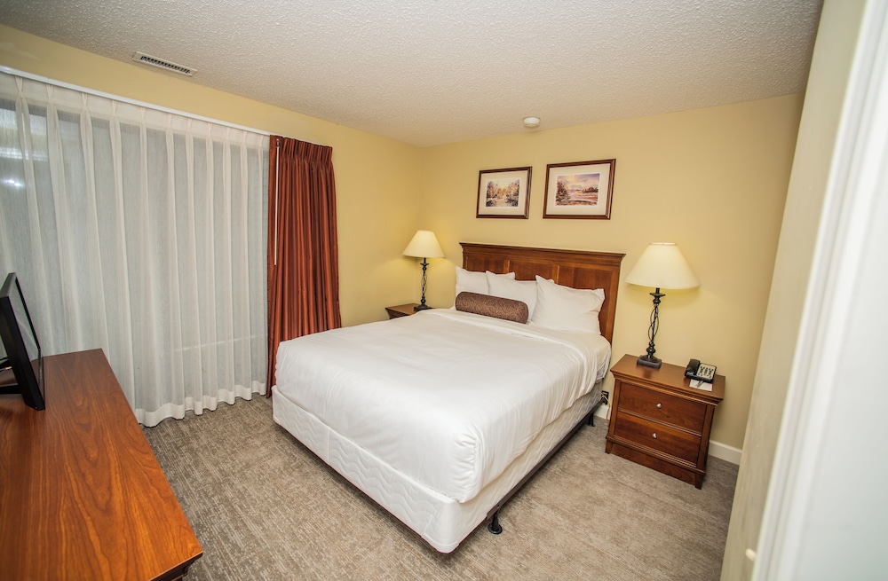 1 Bedroom, Condo, Queen Bed, Beach Side, Sofa, Kitchen