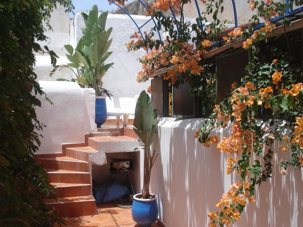 Riad Marlinea 7/50