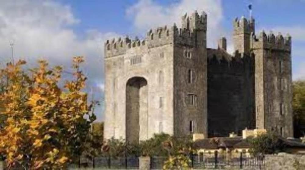 Castletroy Park Hotel 3/70