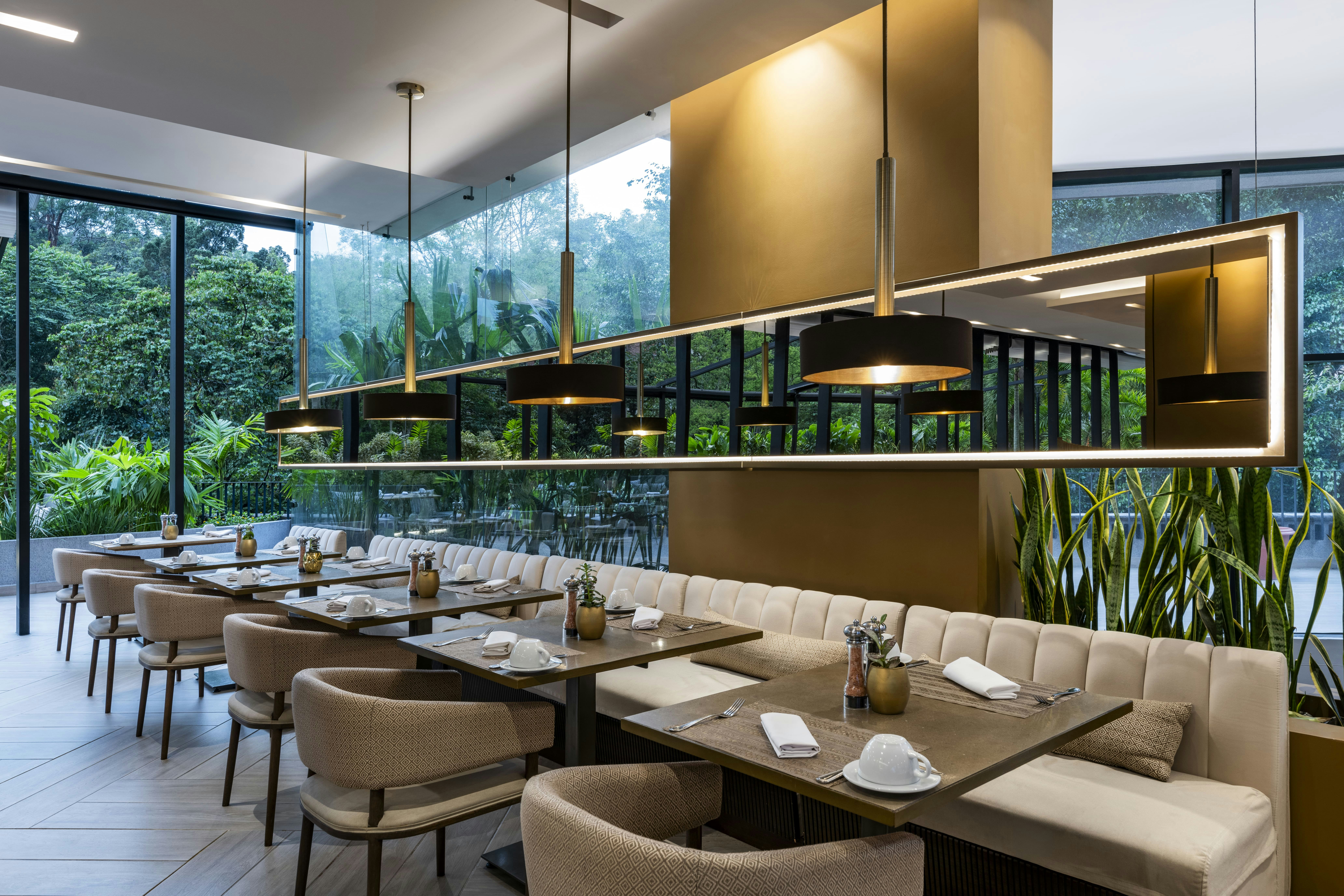 York Medellin, Curio Collection by Hilton 38/60