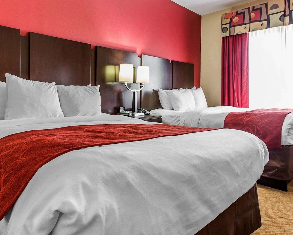 Comfort Suites Stockbridge Atlanta South 11/39