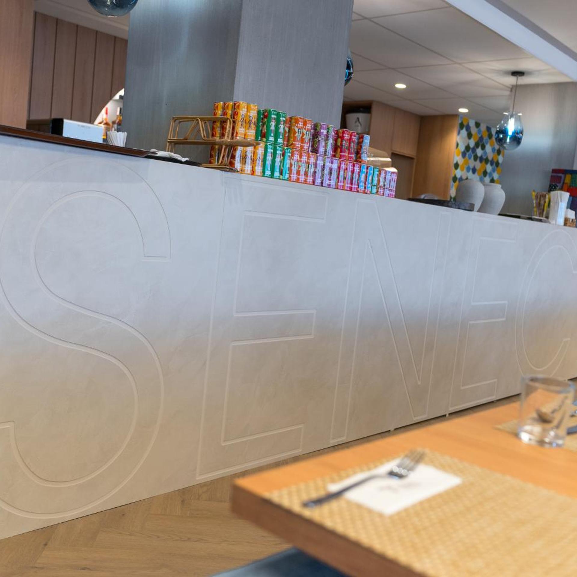 Hotel Senec Lake Resort 6/50