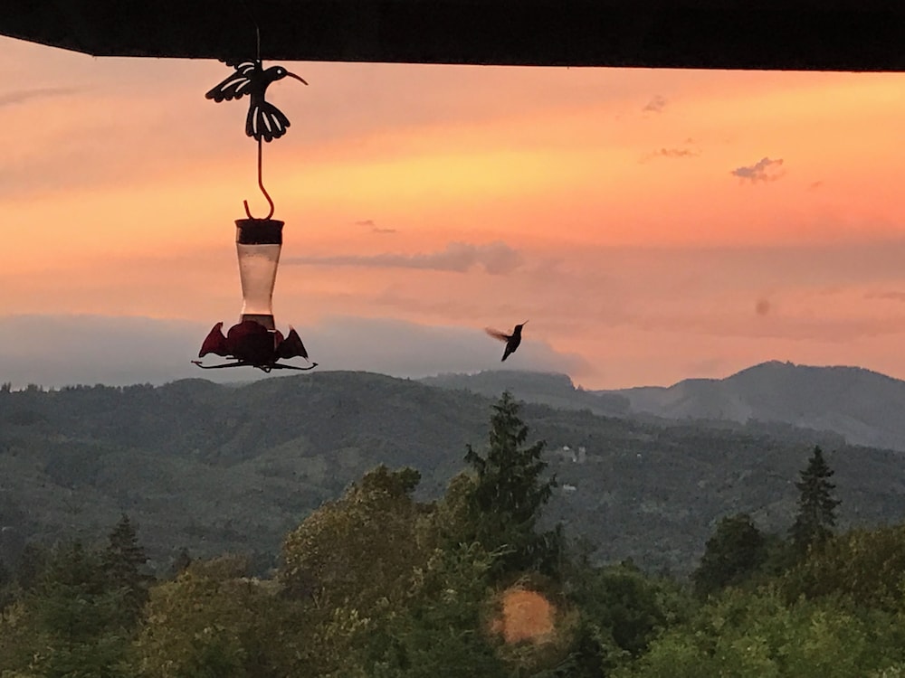 MapleRidge House: A BnB For All Seasons 37/50