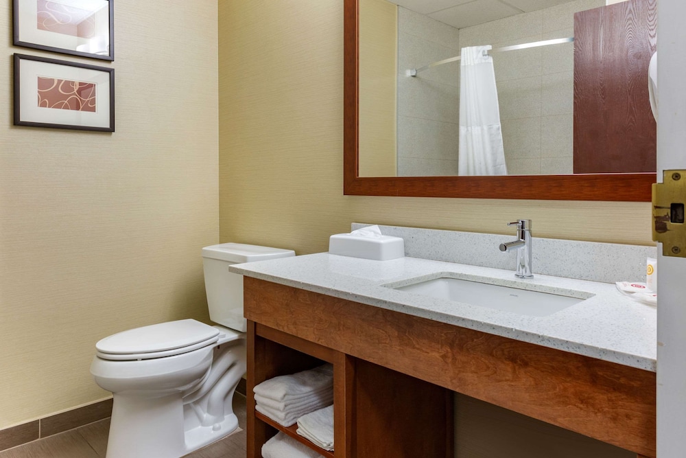 Comfort Suites Dover University Area 12/36