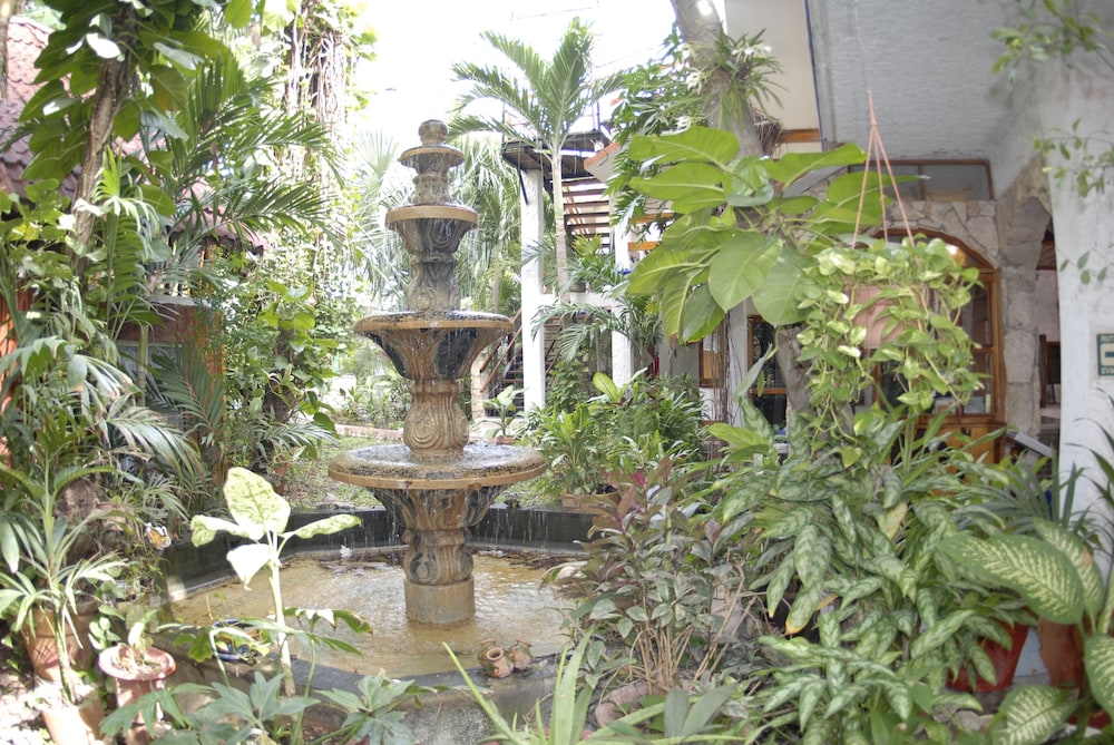 Eco Hotel El Rey del Caribe 44/50