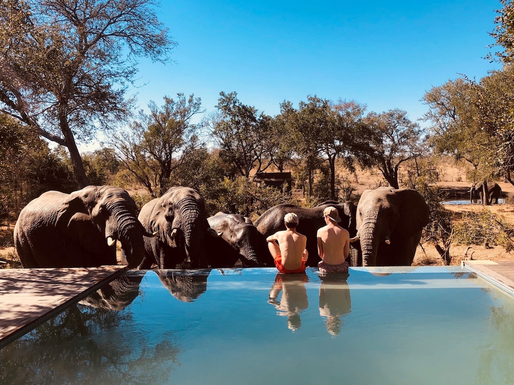 Honeyguide Tented Safari Camps 15/50