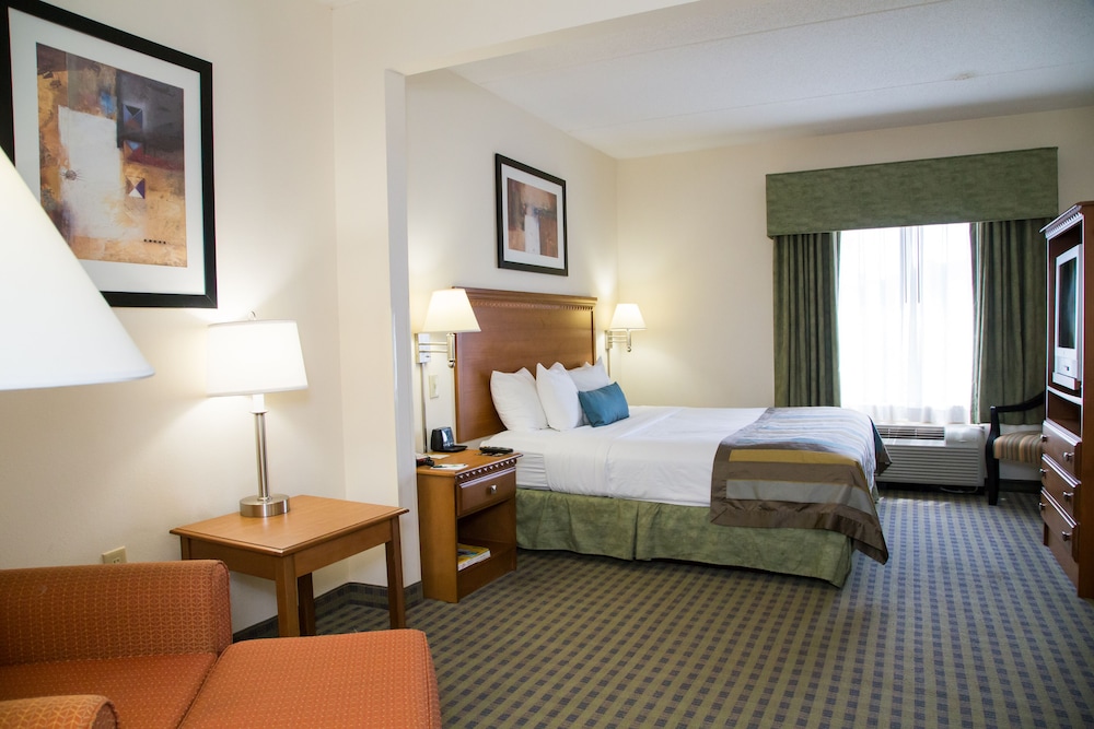 جناح استوديو ديلوكس بسرير كينج، Wingate By Wyndham Atlanta Airport Fairburn 3/5