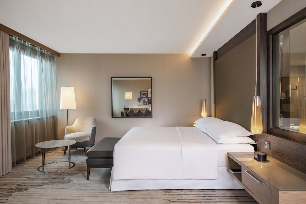Sheraton Grand Tbilisi Metechi Palace 27/88