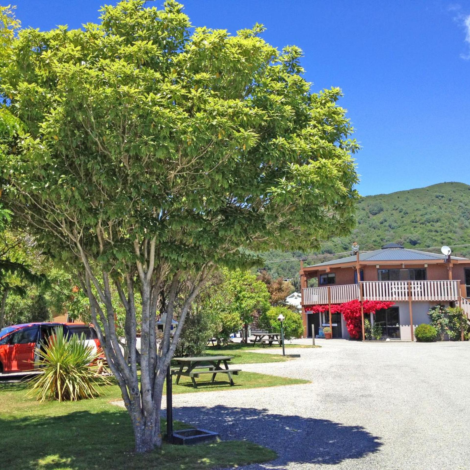 Picton Campervan Park 16/16
