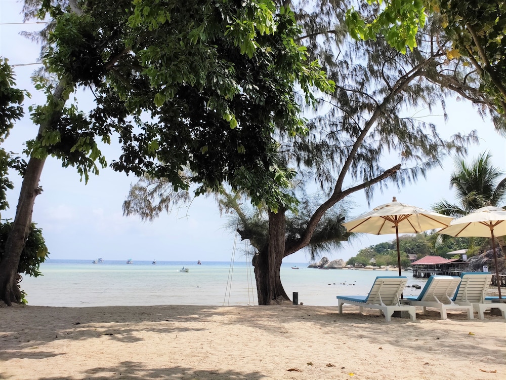 Assava Dive Resort 34/50