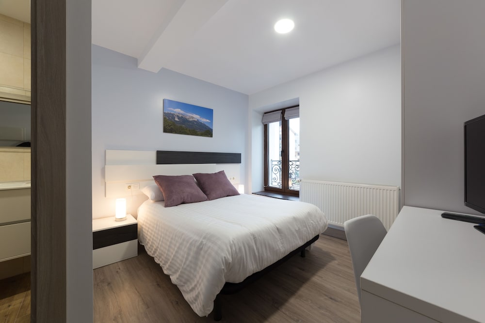 Petit Hotel Goierri 18/43
