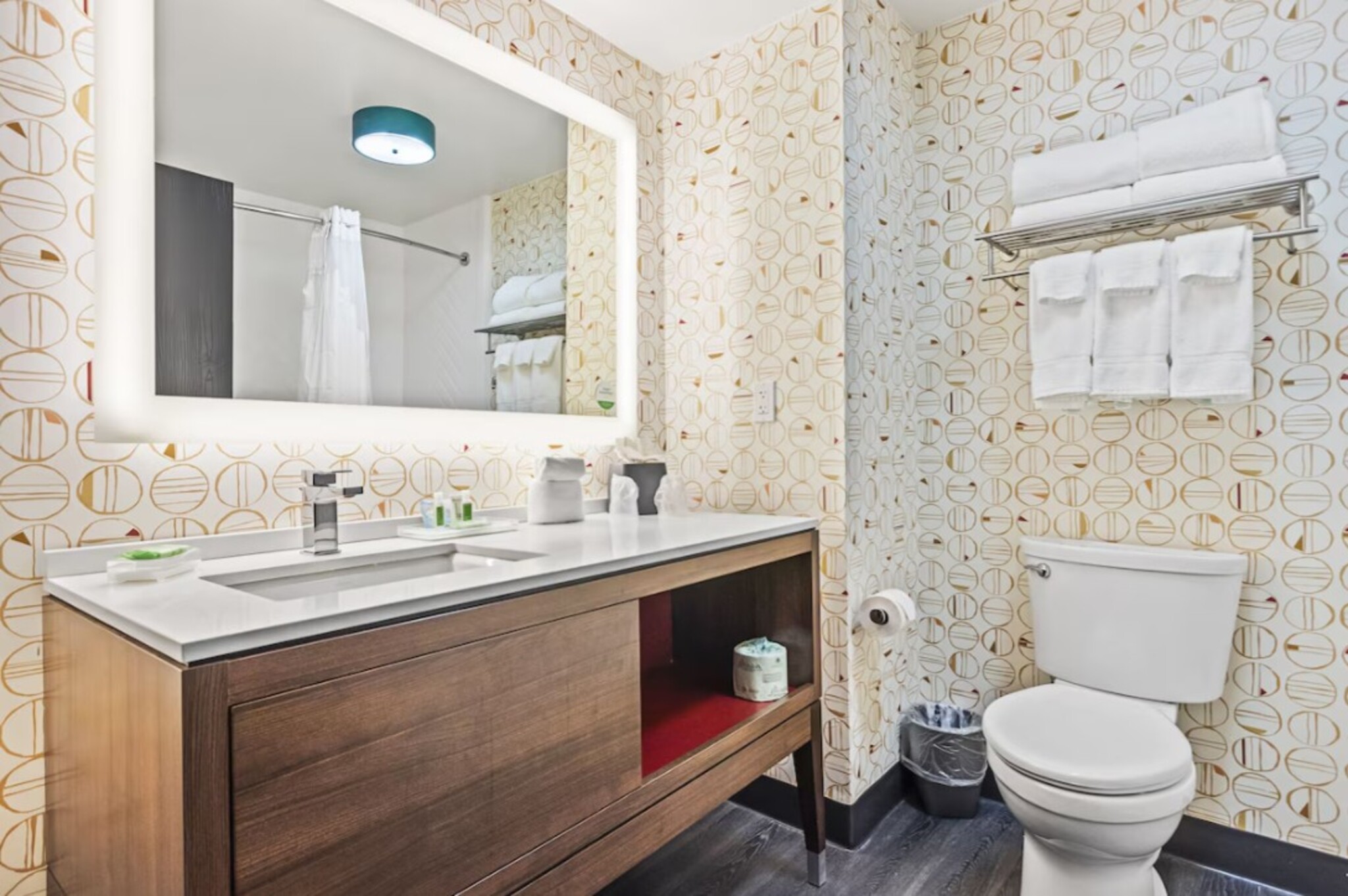 جناح لذوي الإعاقة، Holiday Inn St. Petersburg West 4/5