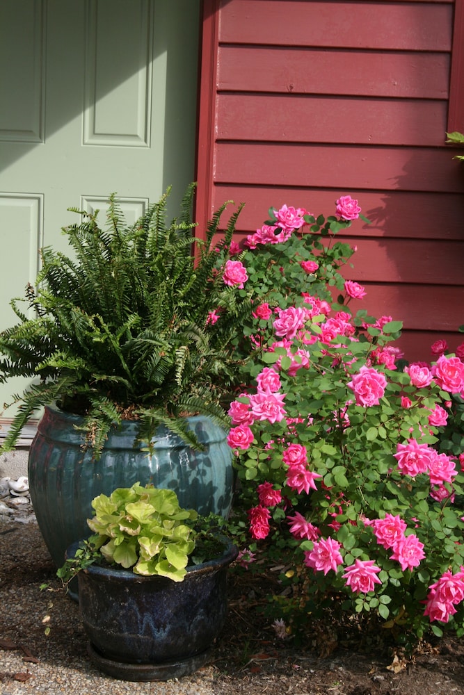 Williamsburg Manor B&amp;B 45/50