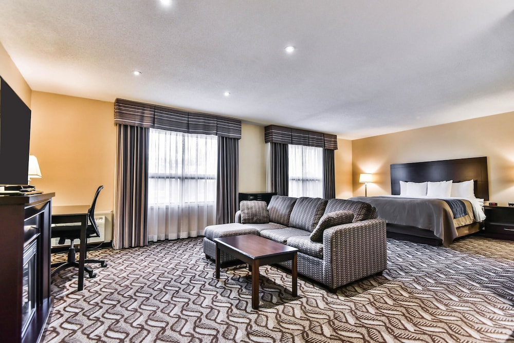 Comfort Inn & Suites Ambassador Bridge 20/39