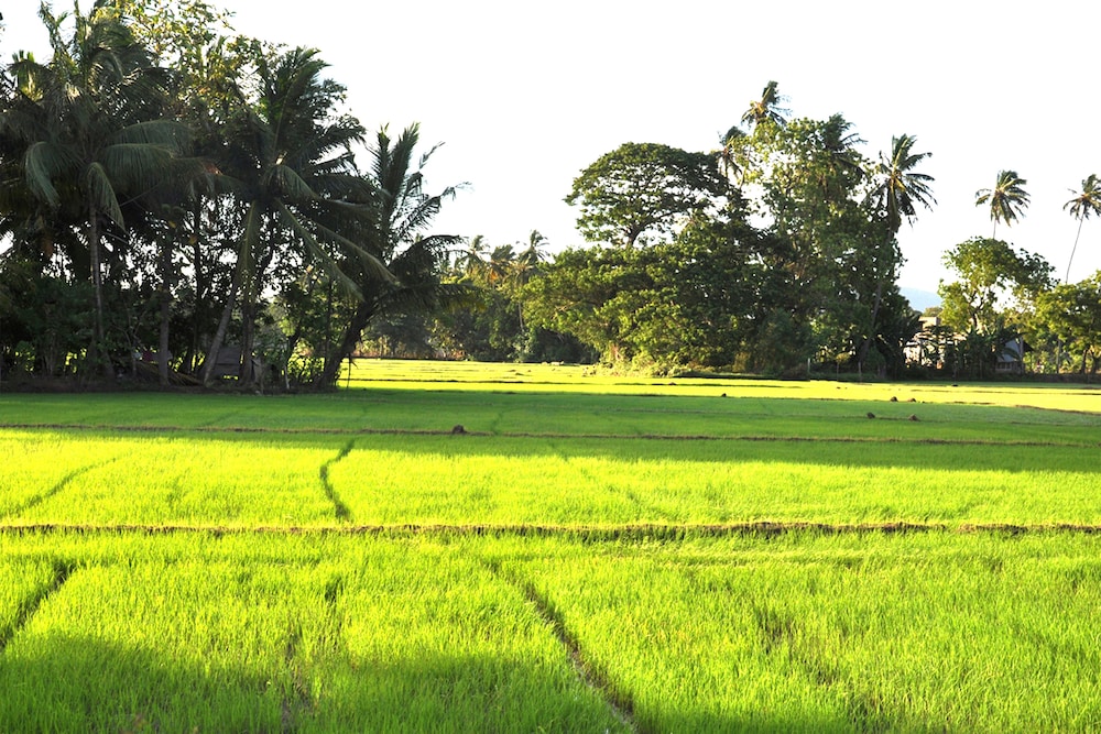 Nature Resort Tissamaharama 34/50