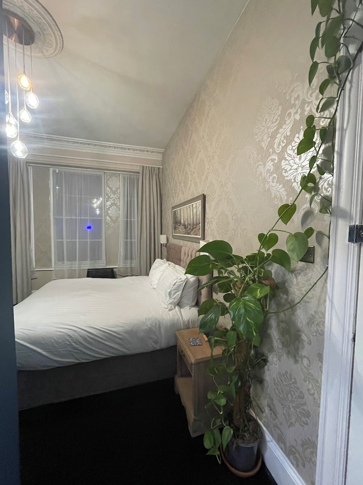 The Montana Guest House 18/42