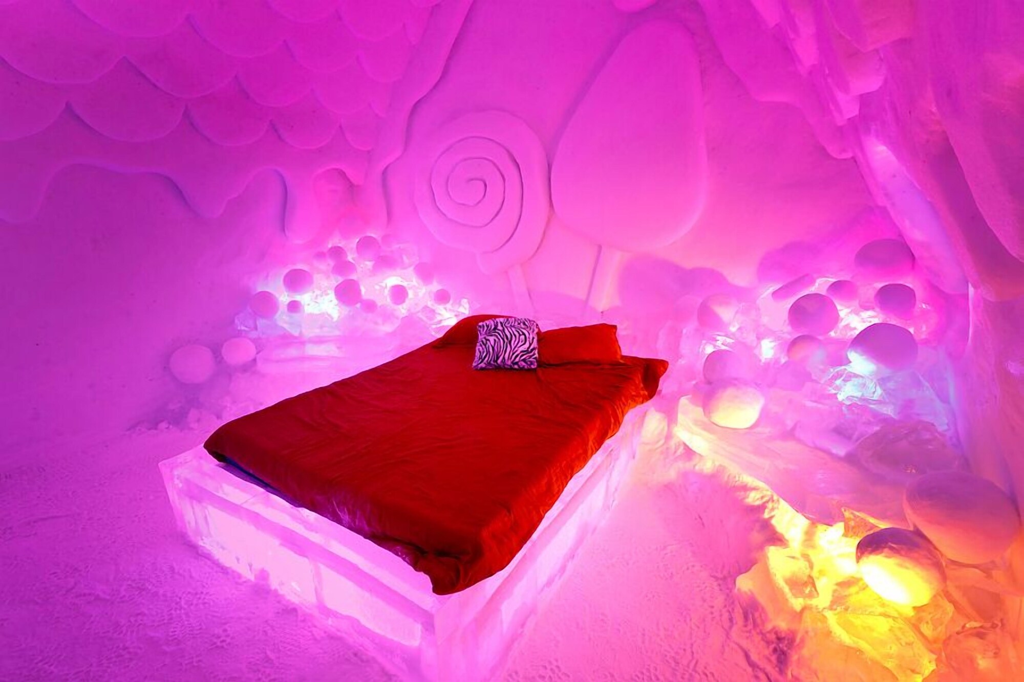 Theme, Suite, Queen Bed