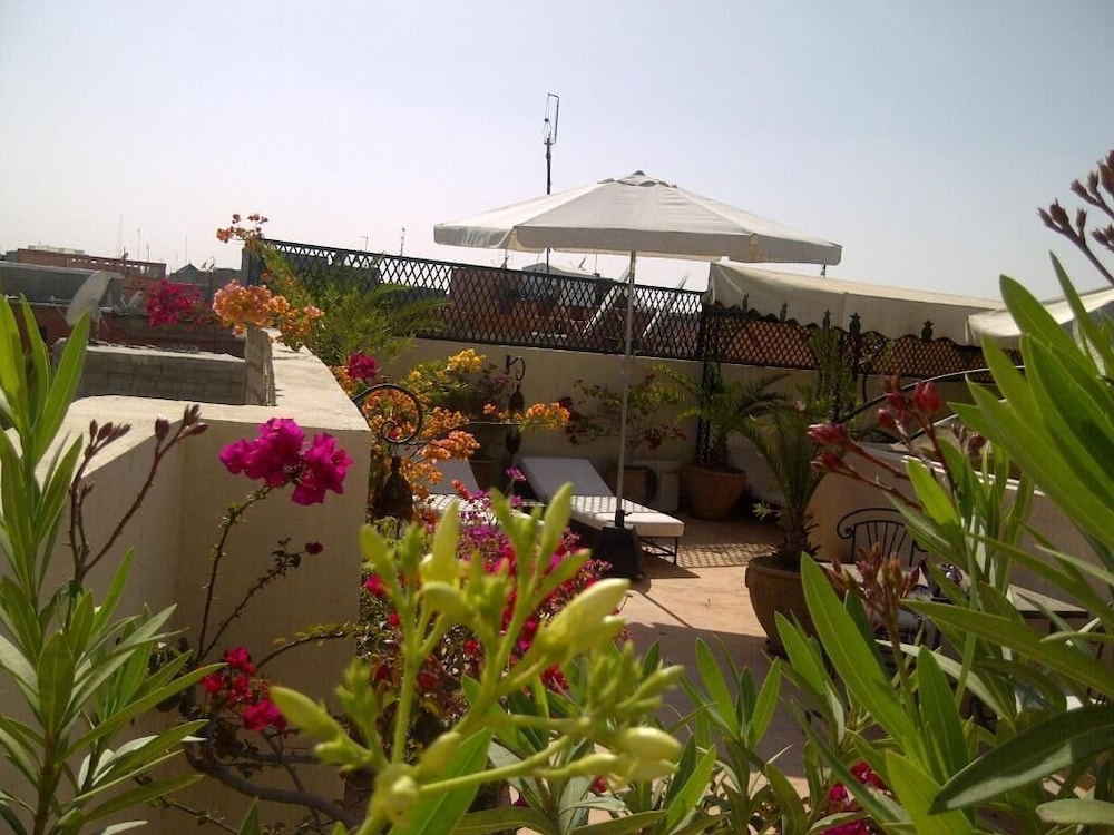 RIAD IRENE 2/50