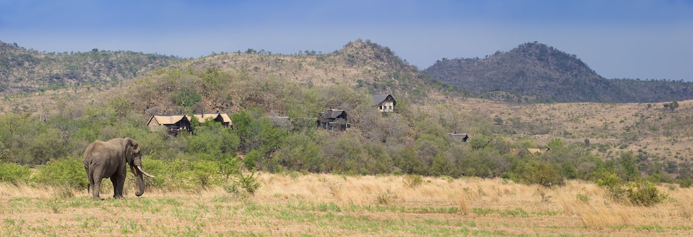 TSHUKUDU BUSH LODGE 45/49