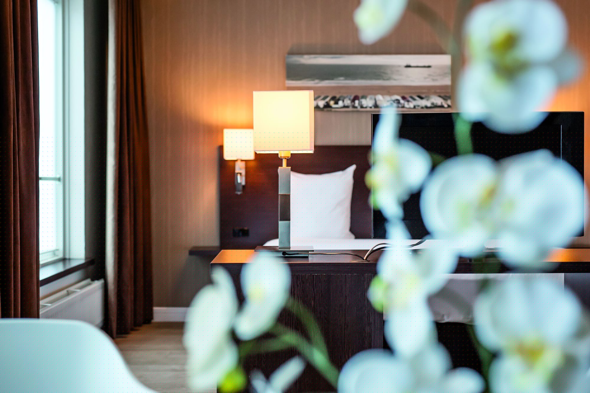 Suite, King Bed