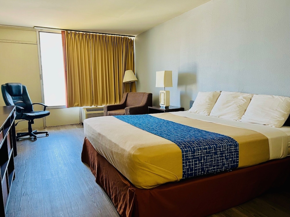 BASIC, KING BED, ACCESSIBLE