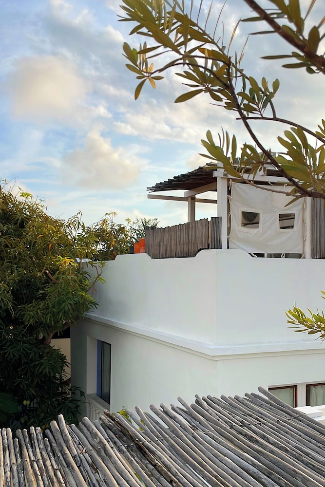 Les Lezards Bed Breakfast 4/63