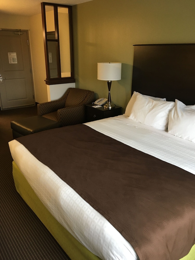 Room, King Bed