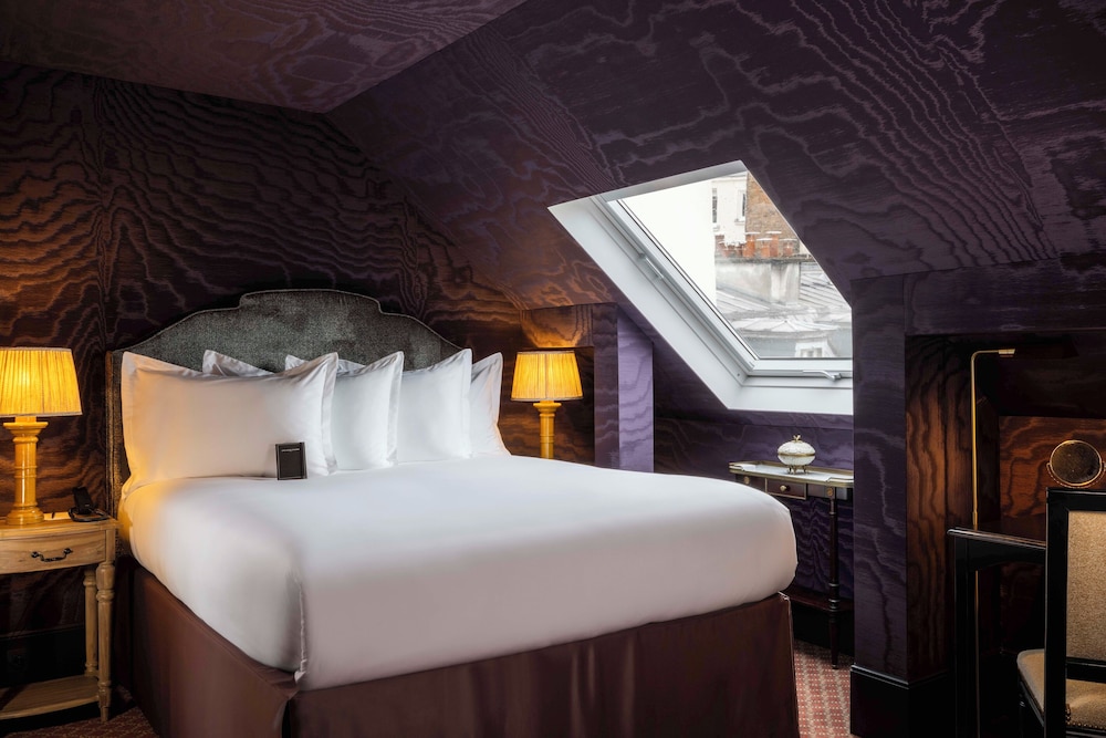 EXCLUSIVE, SUITE