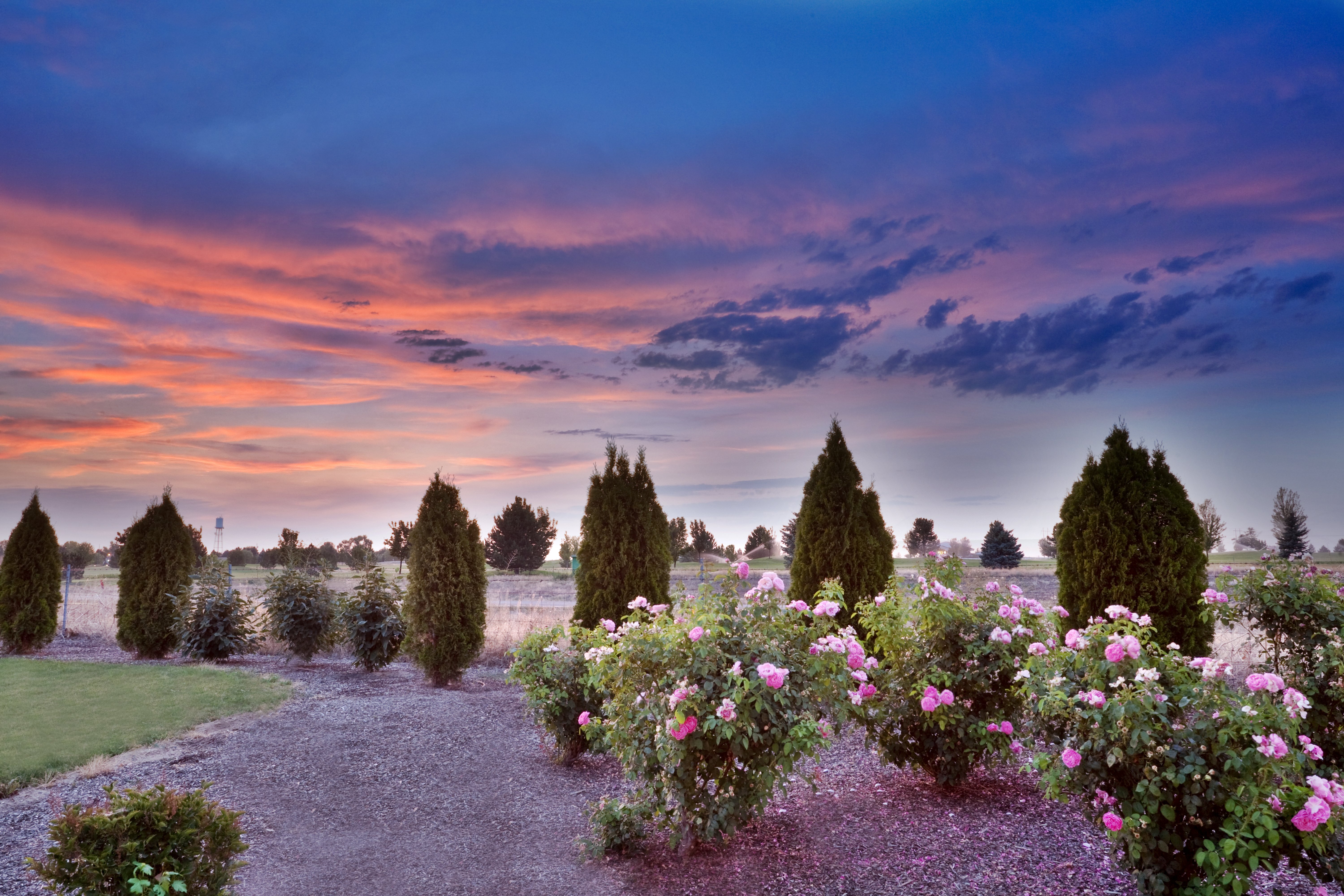 Holiday Inn Express & Suites Nampa - Idaho Center 74/78