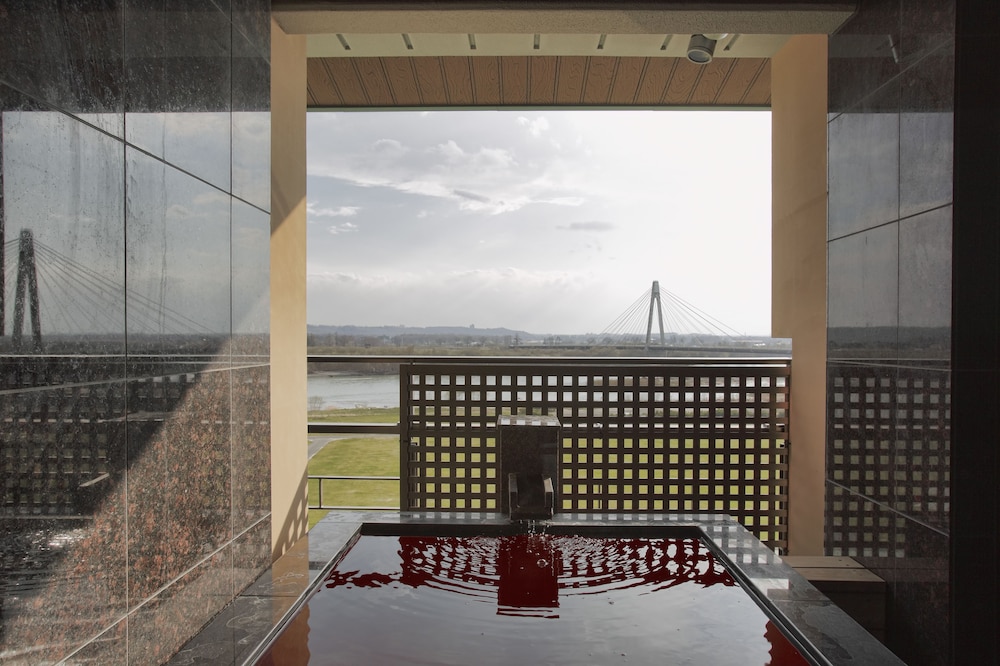 Tokachigawa Onsen Daiichi Hotel 40/65