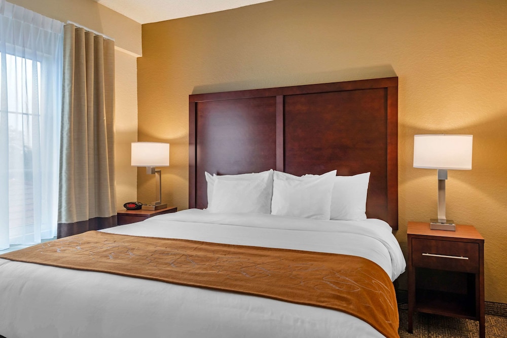 Comfort Suites Downtown Orlando 11/31