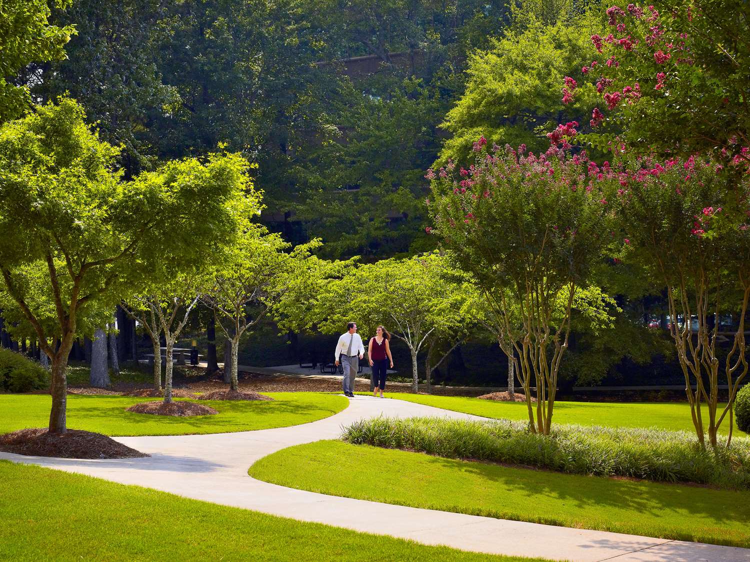 Sonesta Es Suites Gwinnett Place Atlanta 14/16