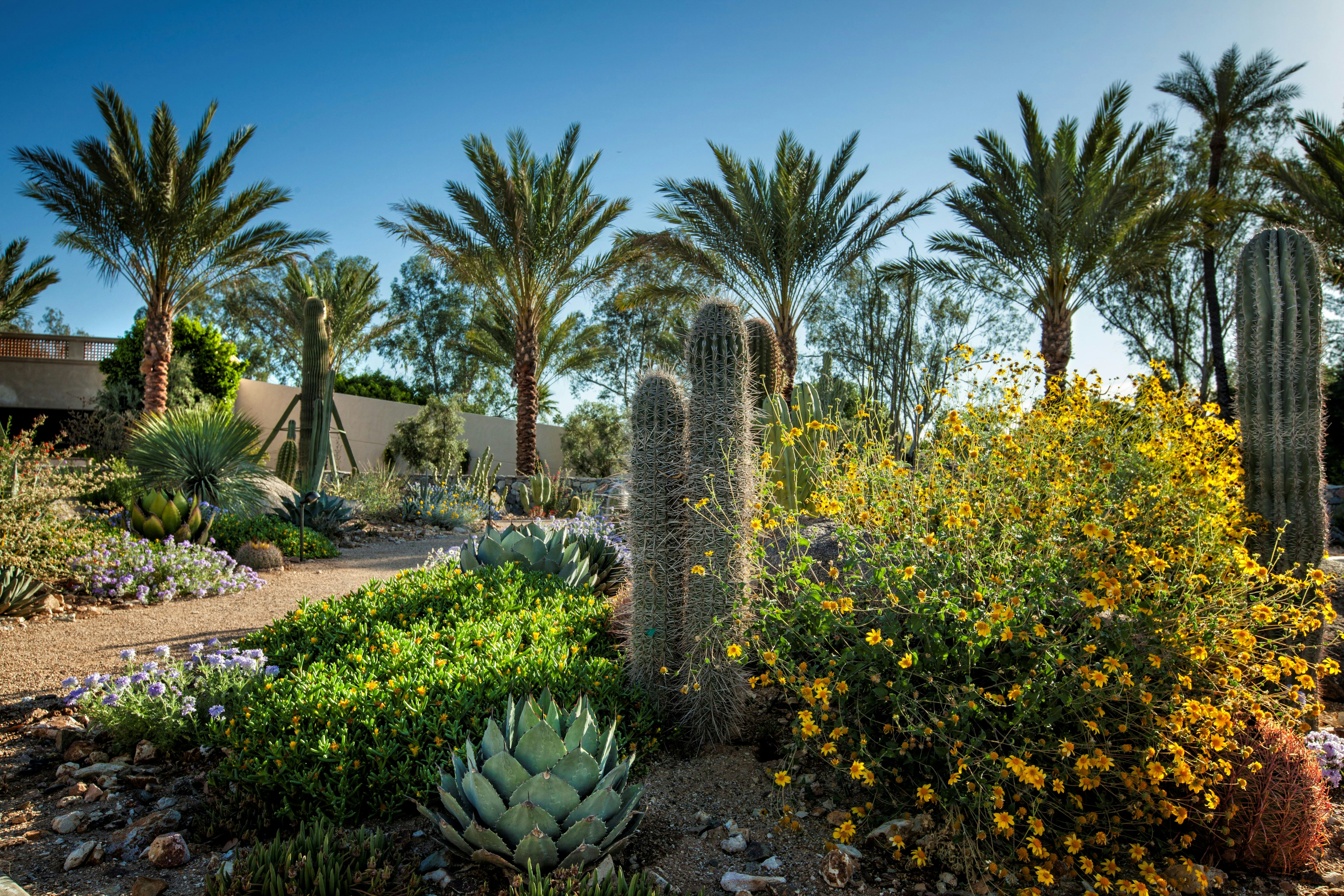 The Scottsdale Resort At Mccormick Ranch 41/50