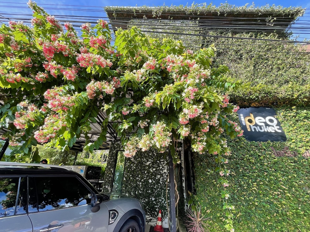 Ideo Phuket Hotel 33/44