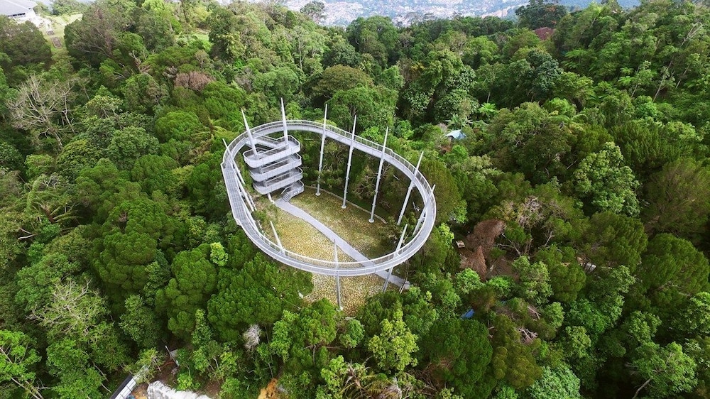 Golden View Serviced Apartment 63/67