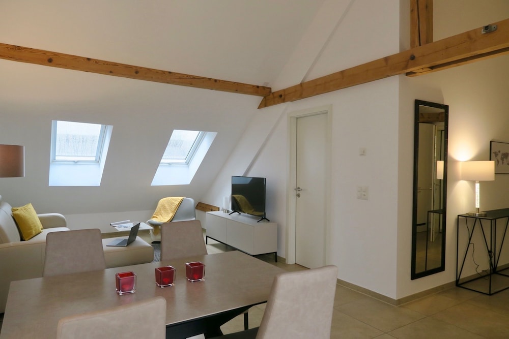 Zurich Furnished Homes 33/50