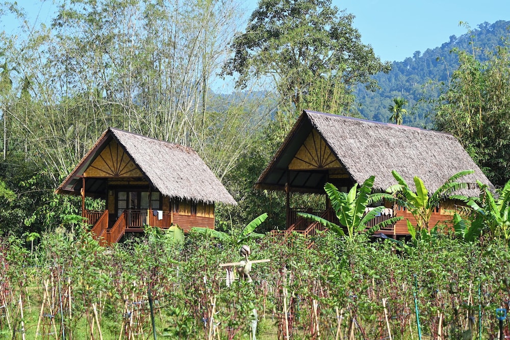 Our Jungle Camp - Eco Resort 9/75