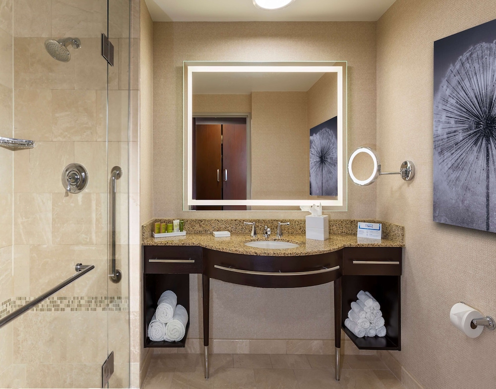 Hilton Americas Houston 27/85
