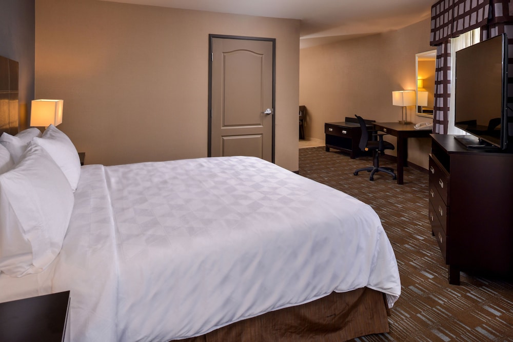 Holiday Inn Ontario Airport 18/73