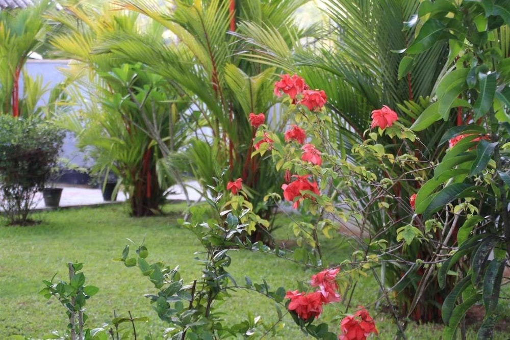 Coral Palm Villa And Apartment 41/50